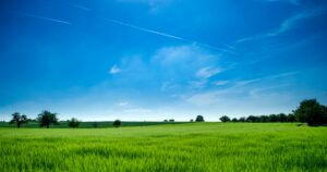 Lire la suite à propos de l’article [Santé des sols : le projet de directive européenne entre en consultation]