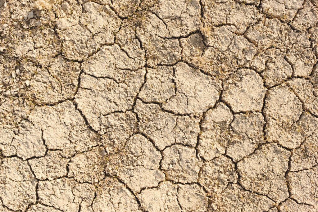 [Ouverture de la COP 15 sur la désertification à Abidjan : l’ONU rend un nouveau rapport sur la sécheresse]
