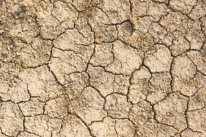 Lire la suite à propos de l’article [Ouverture de la COP 15 sur la désertification à Abidjan : l’ONU rend un nouveau rapport sur la sécheresse]