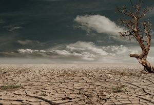 Lire la suite à propos de l’article [Un rapport interministériel appelle à prendre des mesures fortes pour prévenir les conséquences de la sécheresse]