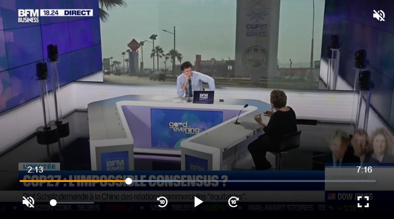 You are currently viewing [Cop 27 : l’impossible consensus ? Intervention de Corinne Lepage sur Bfmbusiness]
