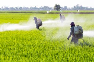 Lire la suite à propos de l’article [Une commission d’enquête de l’Assemblée nationale publie son rapport d’enquête sur les pesticides]