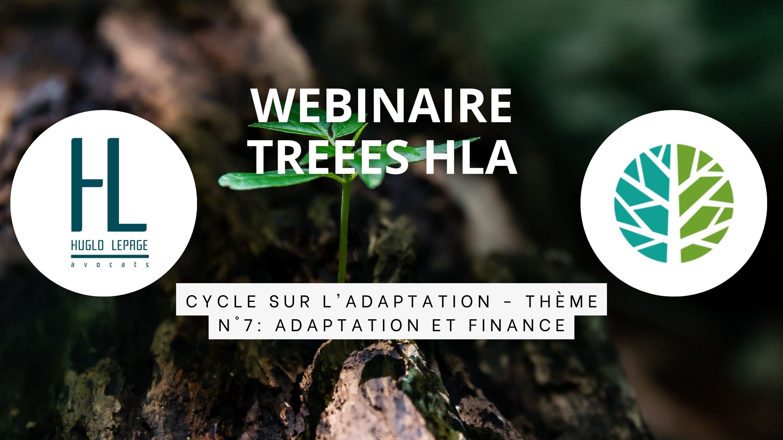 You are currently viewing [Replay – Cycle sur l’adaptation – Thème n°7 : Adaptation et finance]