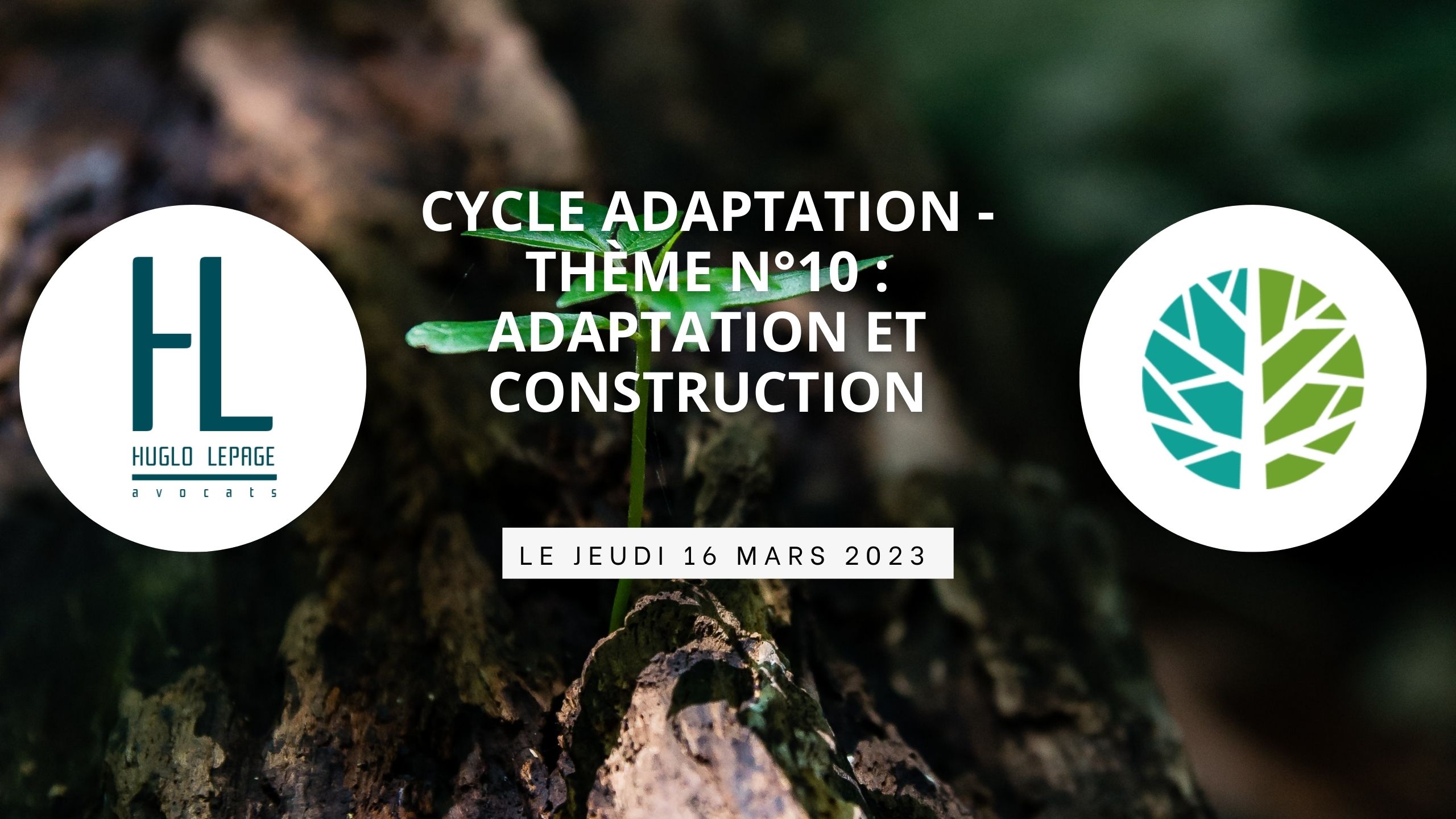 You are currently viewing [Replay – Cycle sur l’adaptation : Thème n°10 – Adaptation et construction]