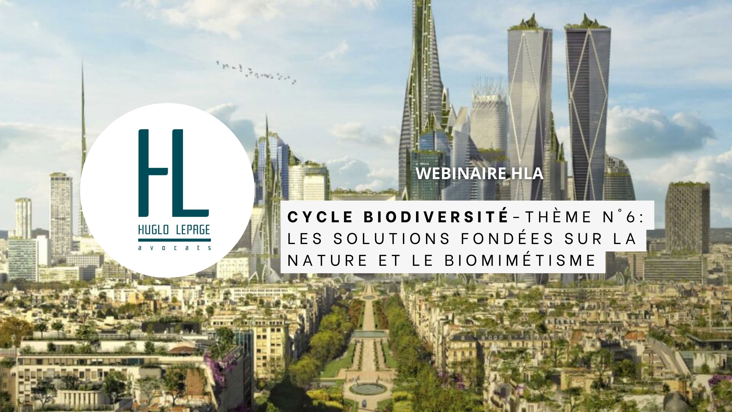 You are currently viewing [Replay – Cycle sur la biodiversité : Thème n°6 – Les solutions fondées sur la nature et le biomimétisme]