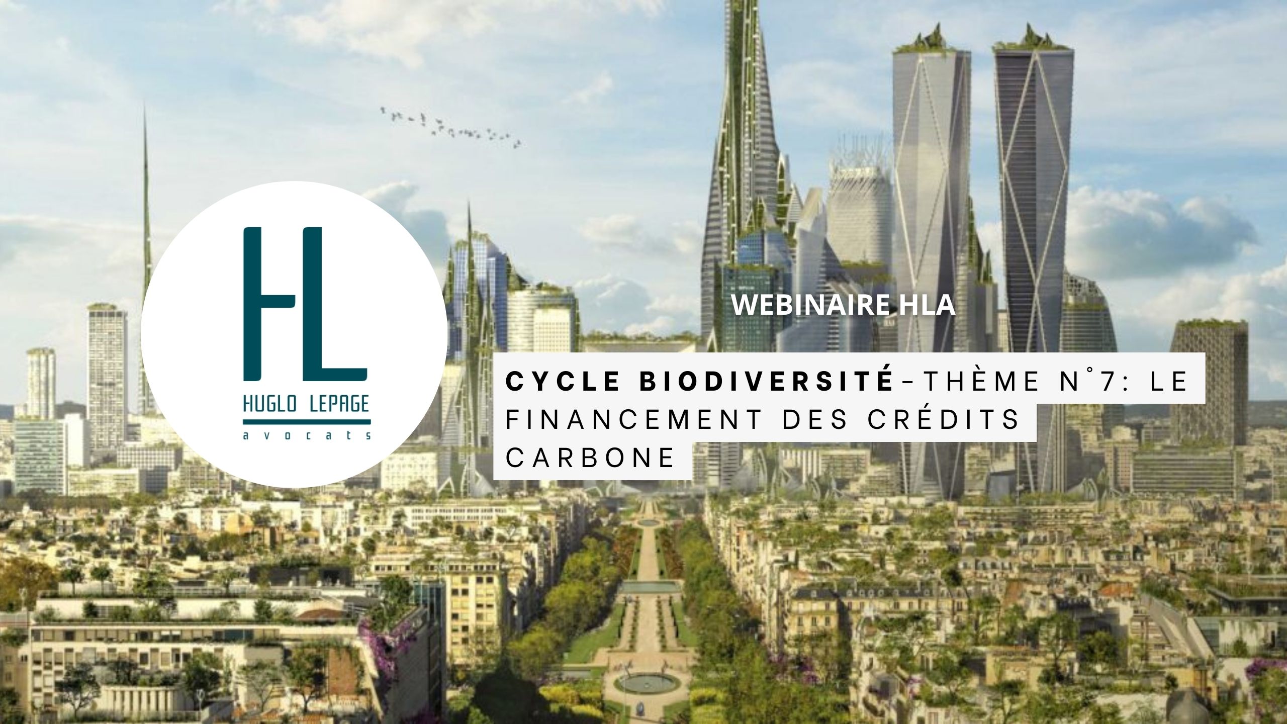 You are currently viewing [Replay – Cycle sur la biodiversité : Thème n°7 – Le financement des crédits carbone]