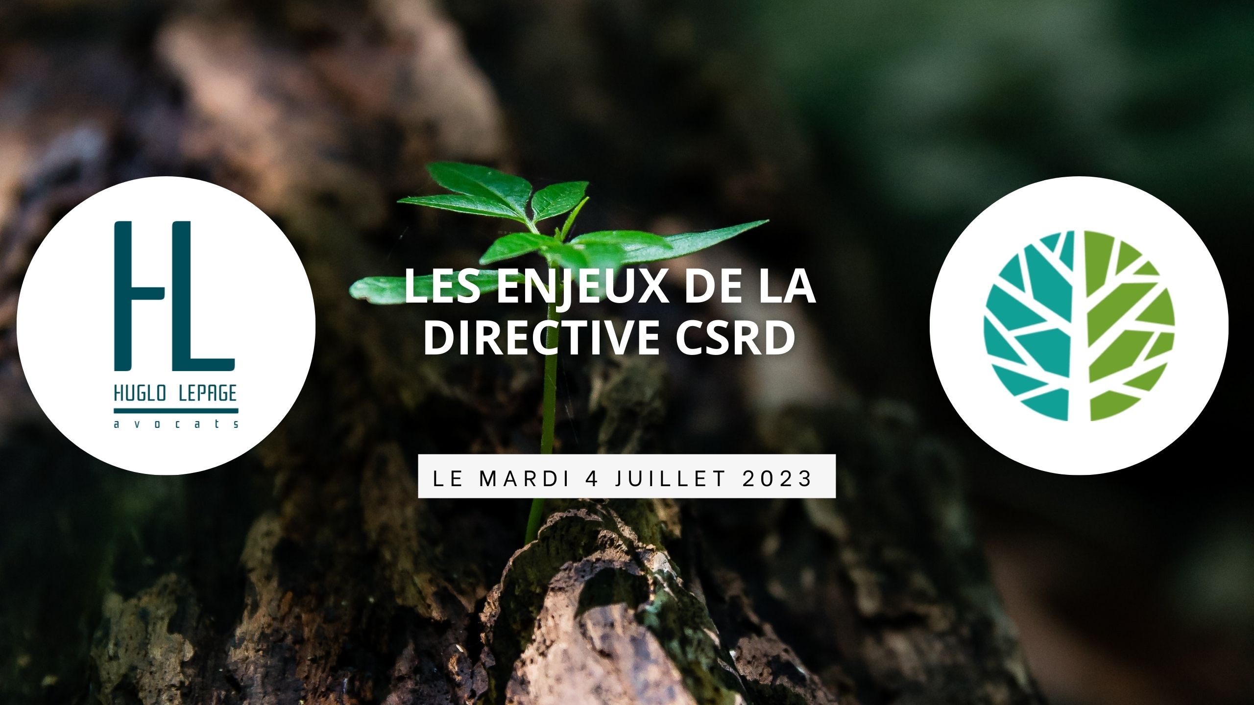You are currently viewing [Replay Webinaire TREEES – Les enjeux de la directive CSRD]