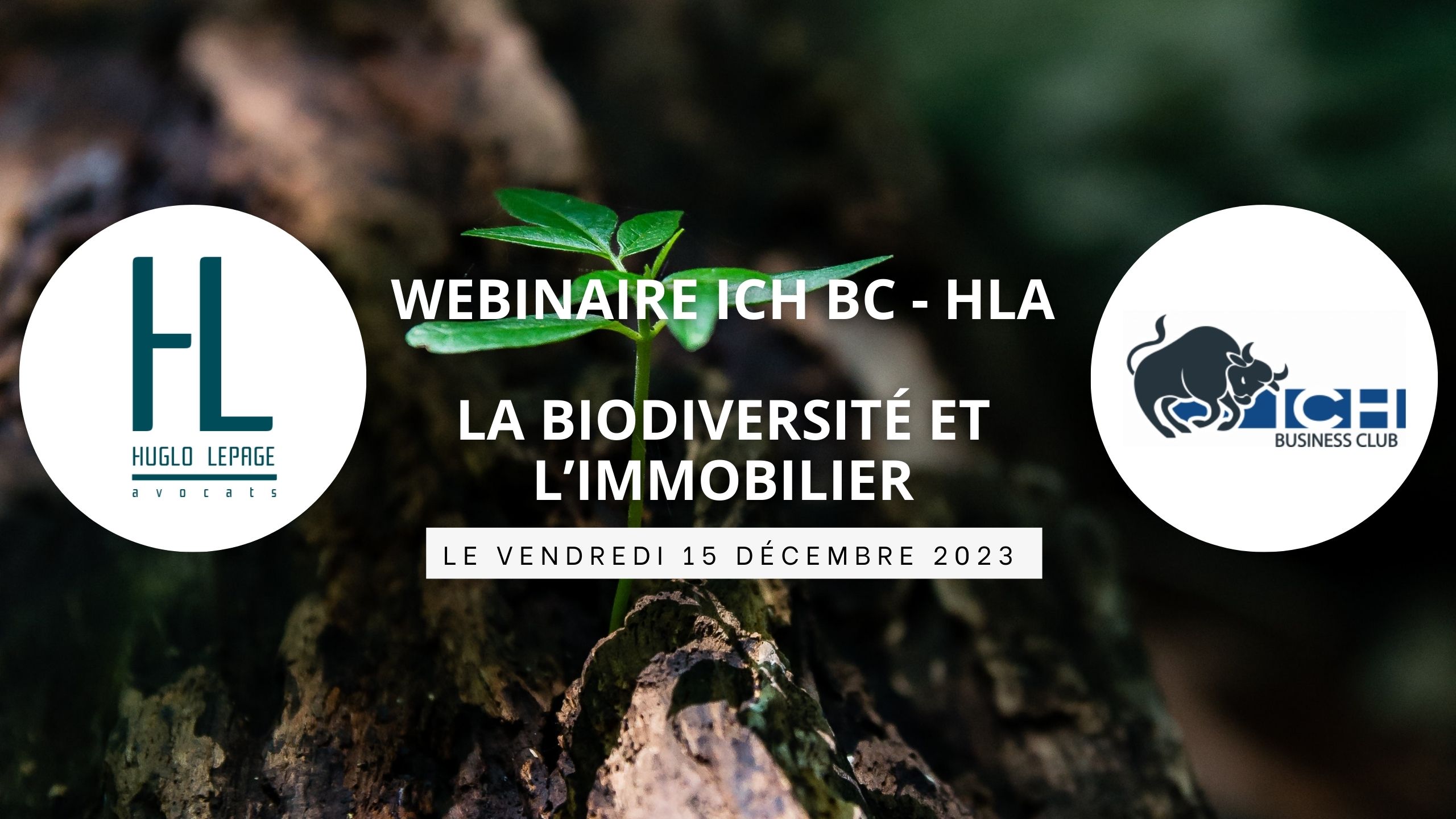 You are currently viewing [Replay – Webinaire – ICH BC HLA : La biodiversité et l’immobilier]
